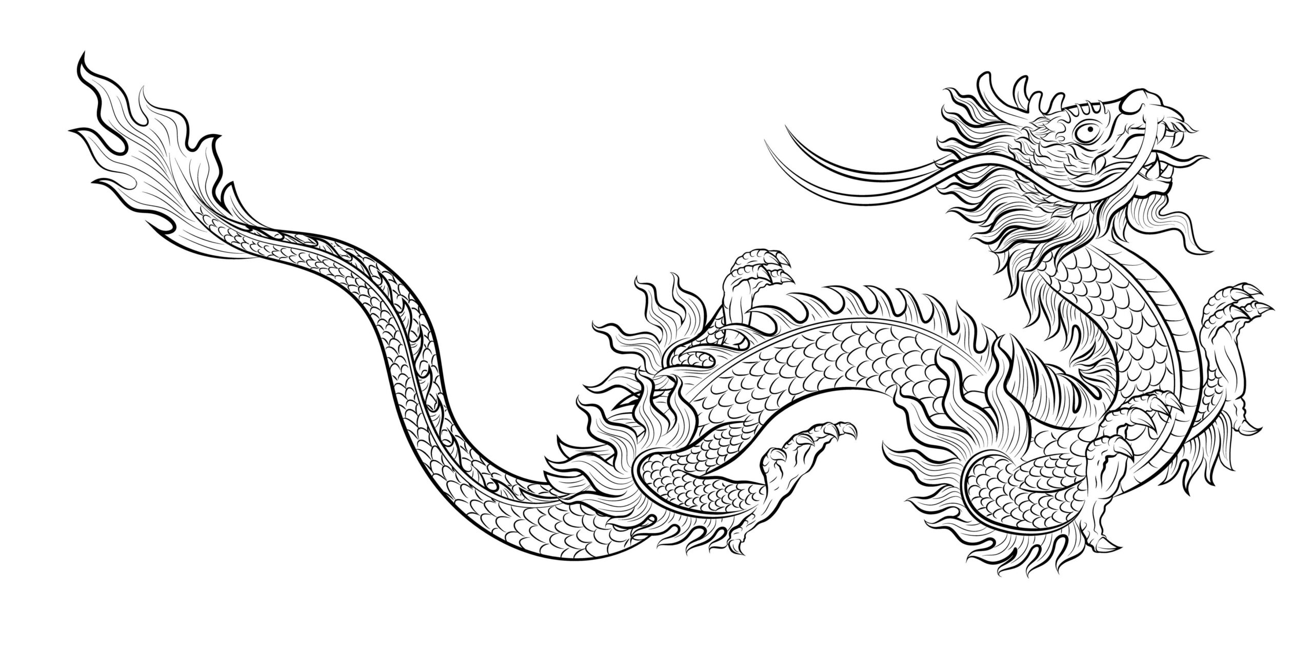 龍のイラスト