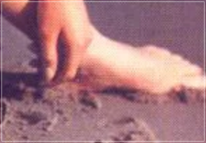 マリリンモンローの足の指