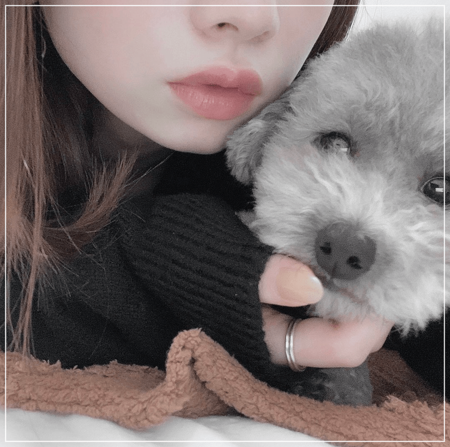 愛犬のティーカッププードルと一緒に映る桜田ひより
